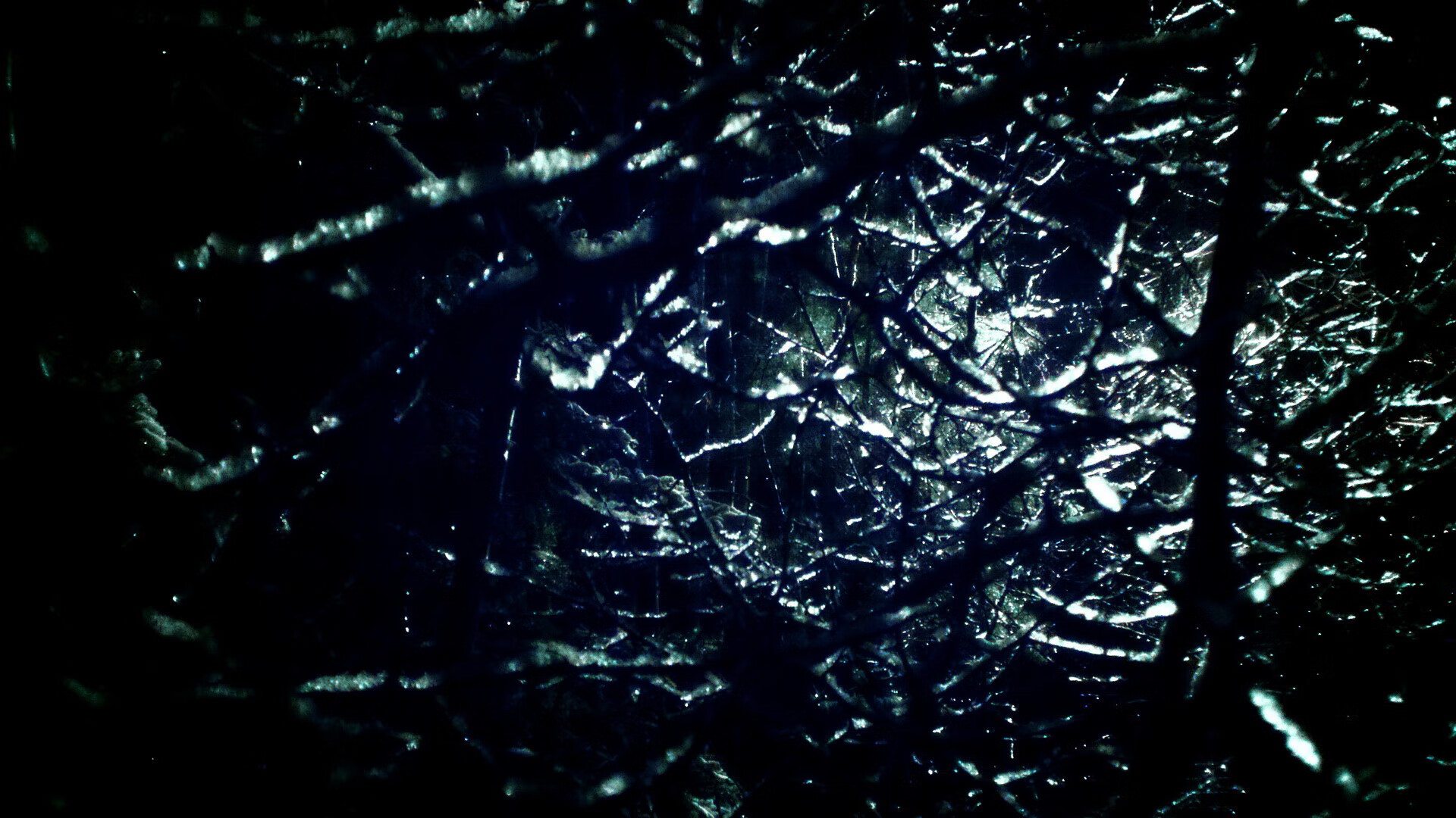 _森林狼战斗精神十足,稳扎稳打_,森林狼kg