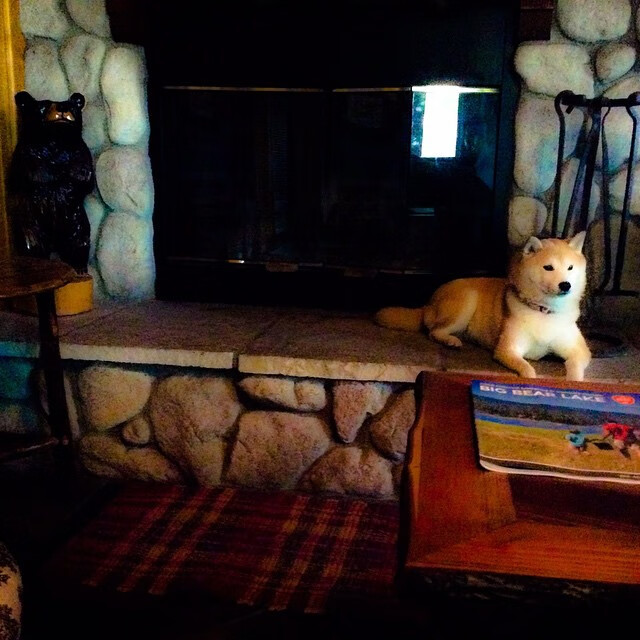 _鹈鹕实力稳步提升，季后赛希望逐渐清晰_，鹈鹕新赛季阵容名单