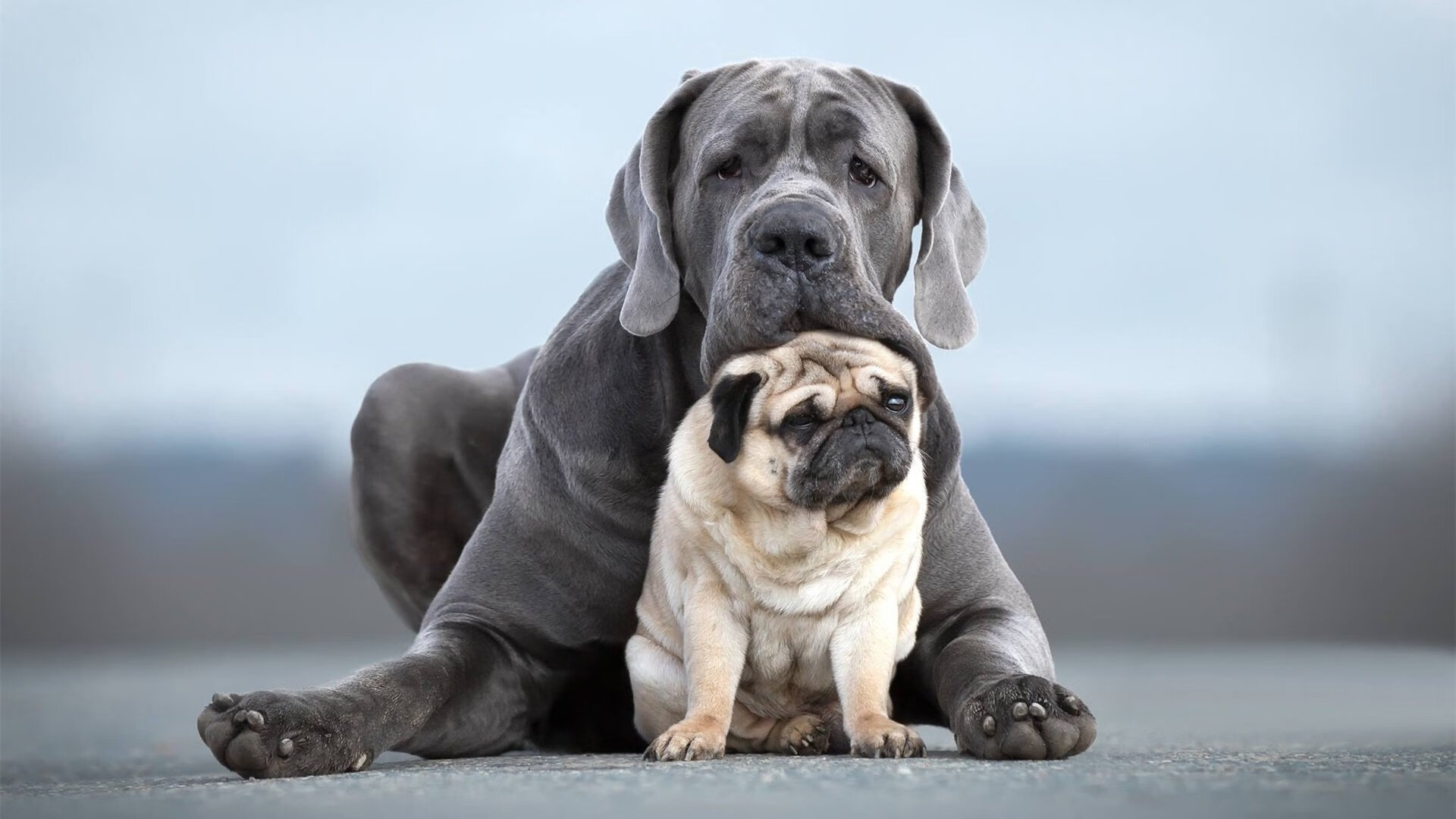 LeyuSports-快船推出沉浸式观赛体验包，场馆科技升级引关注，快船球队纪录片