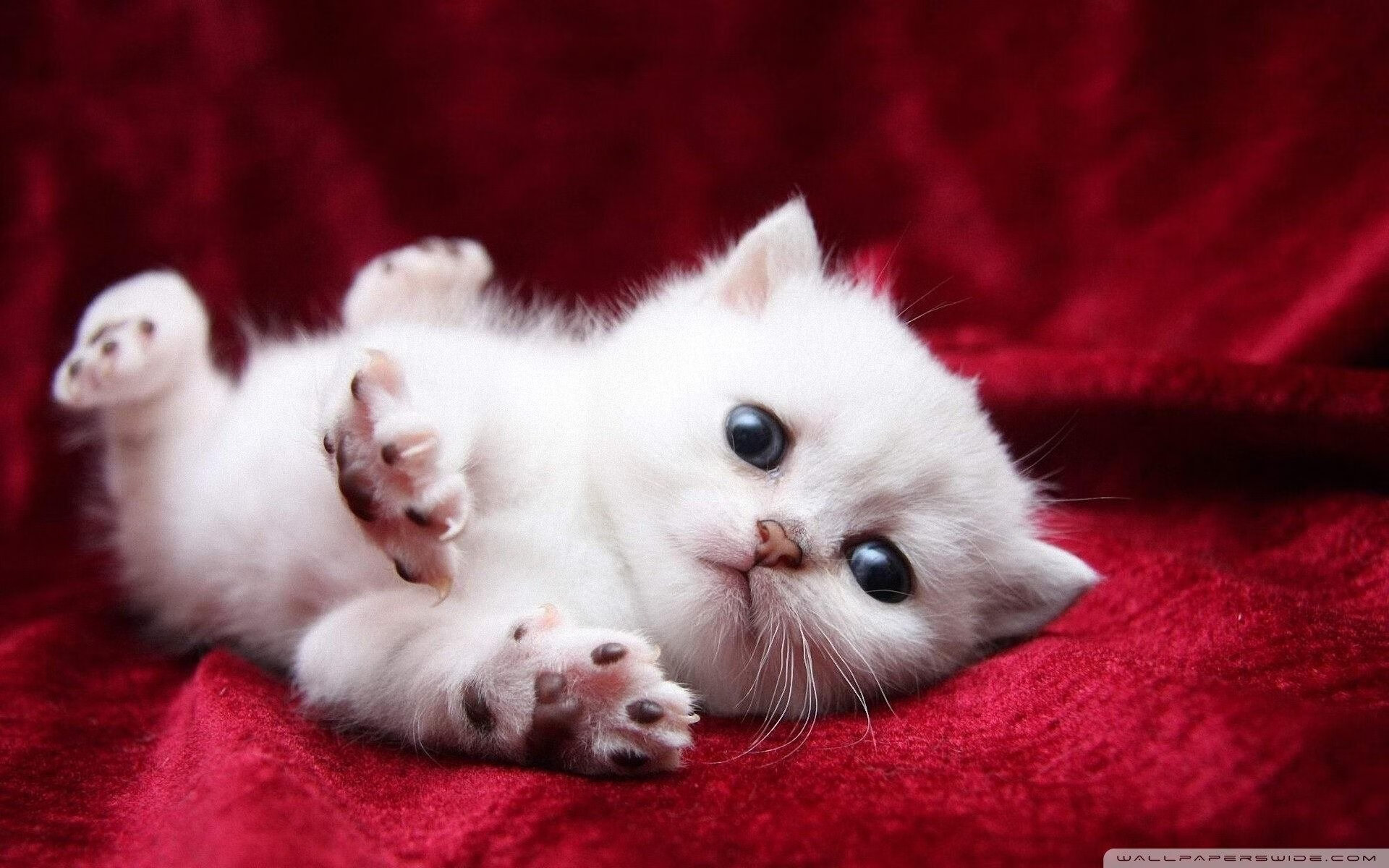 社区瑜伽活动受欢迎,居民积极参与,社区瑜伽活动名称