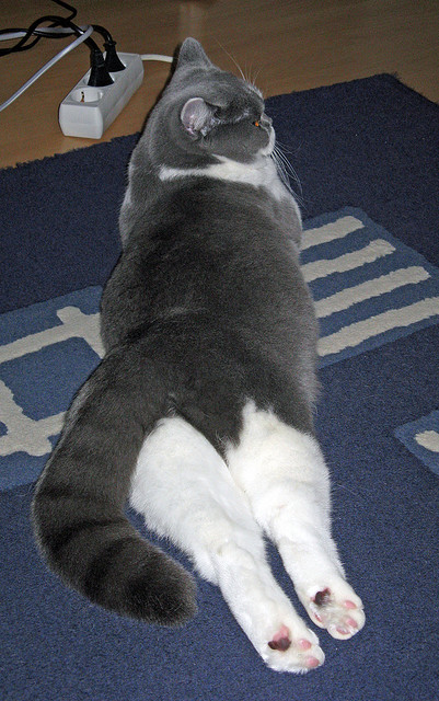 乐鱼体育APP官方下载-足球青训中心引进先进训练理念，人才培养质提升，足球青训招募