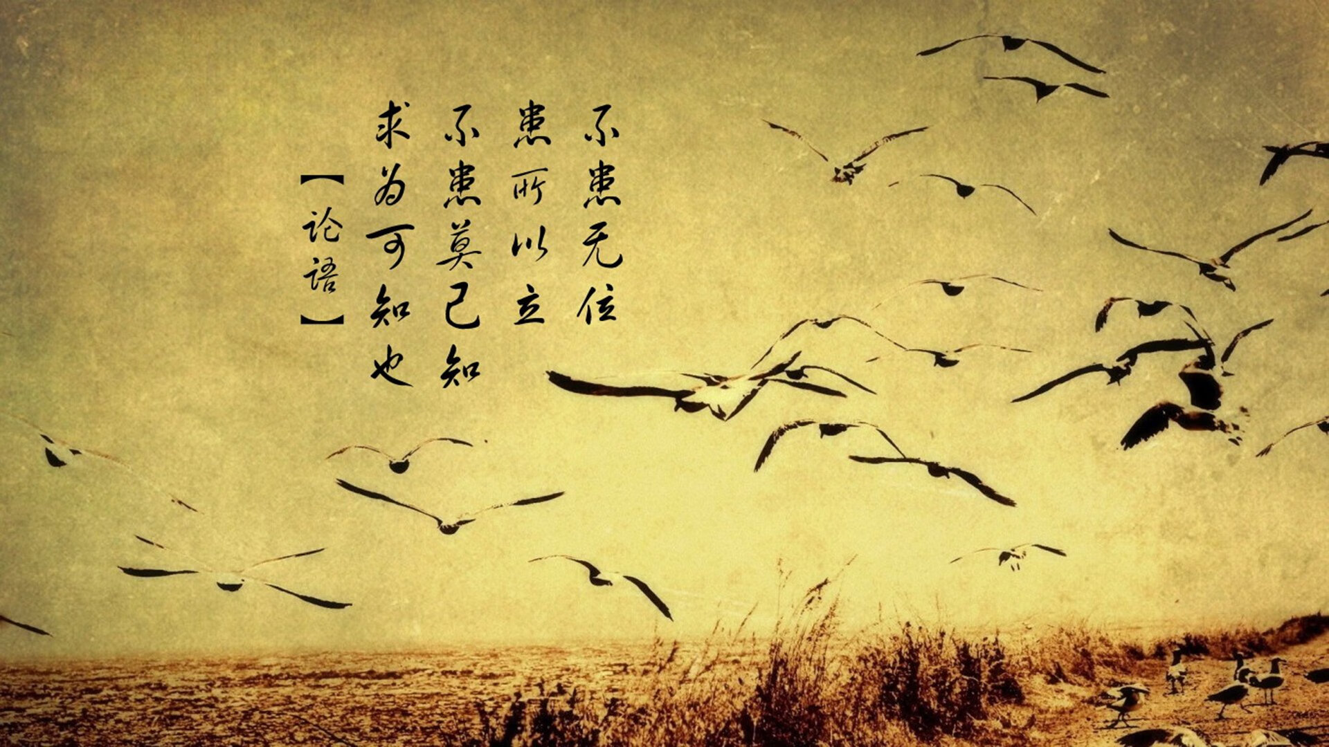 APP下载 LY Sports-大巴黎主场告负，需全力争取下回合，大巴黎主场叫什么