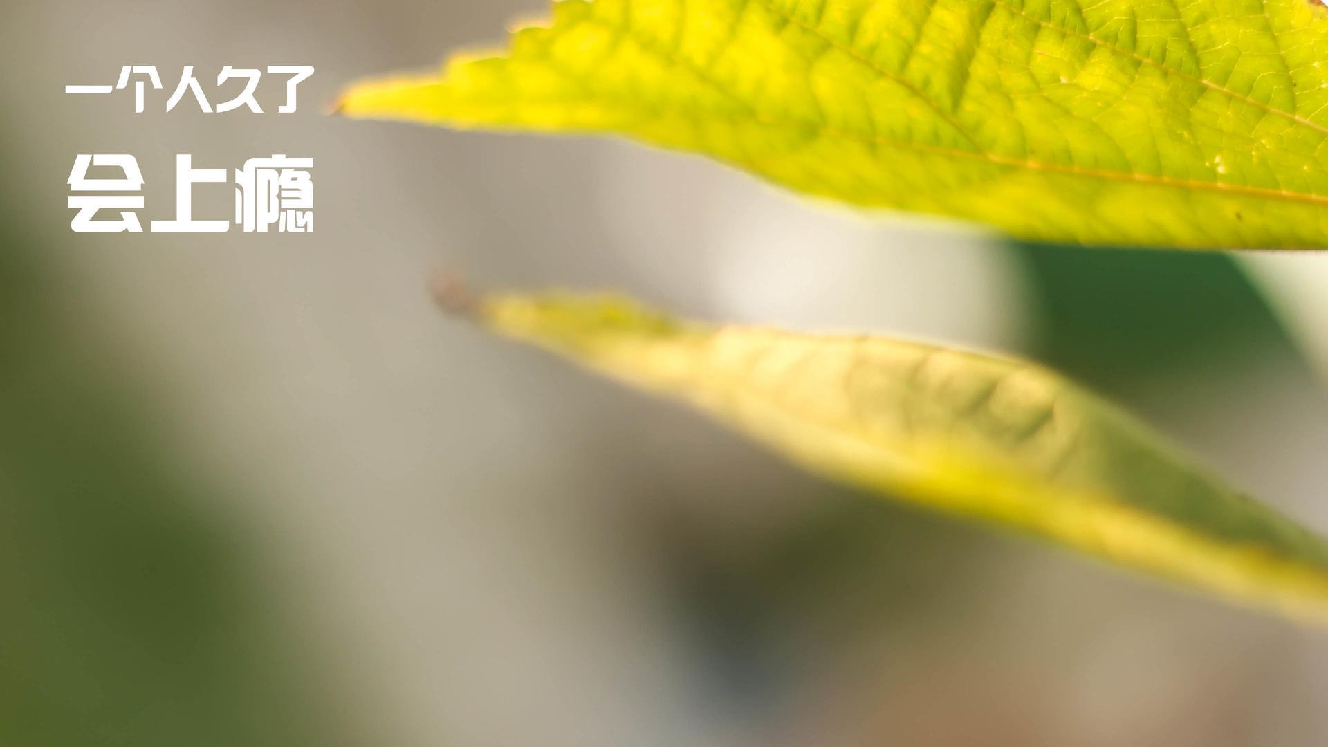 乐鱼电竞· (中国)官方网站-昂热迎战里尔，期待主场赢球破连败，昂热vs雷恩预测