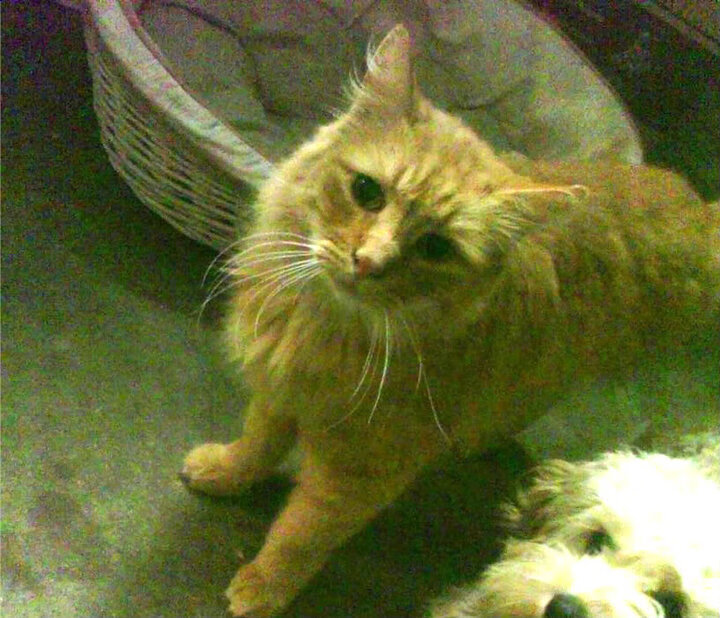 精彩对抗中球员们展现出色表现,为球迷带来惊喜,比赛对抗