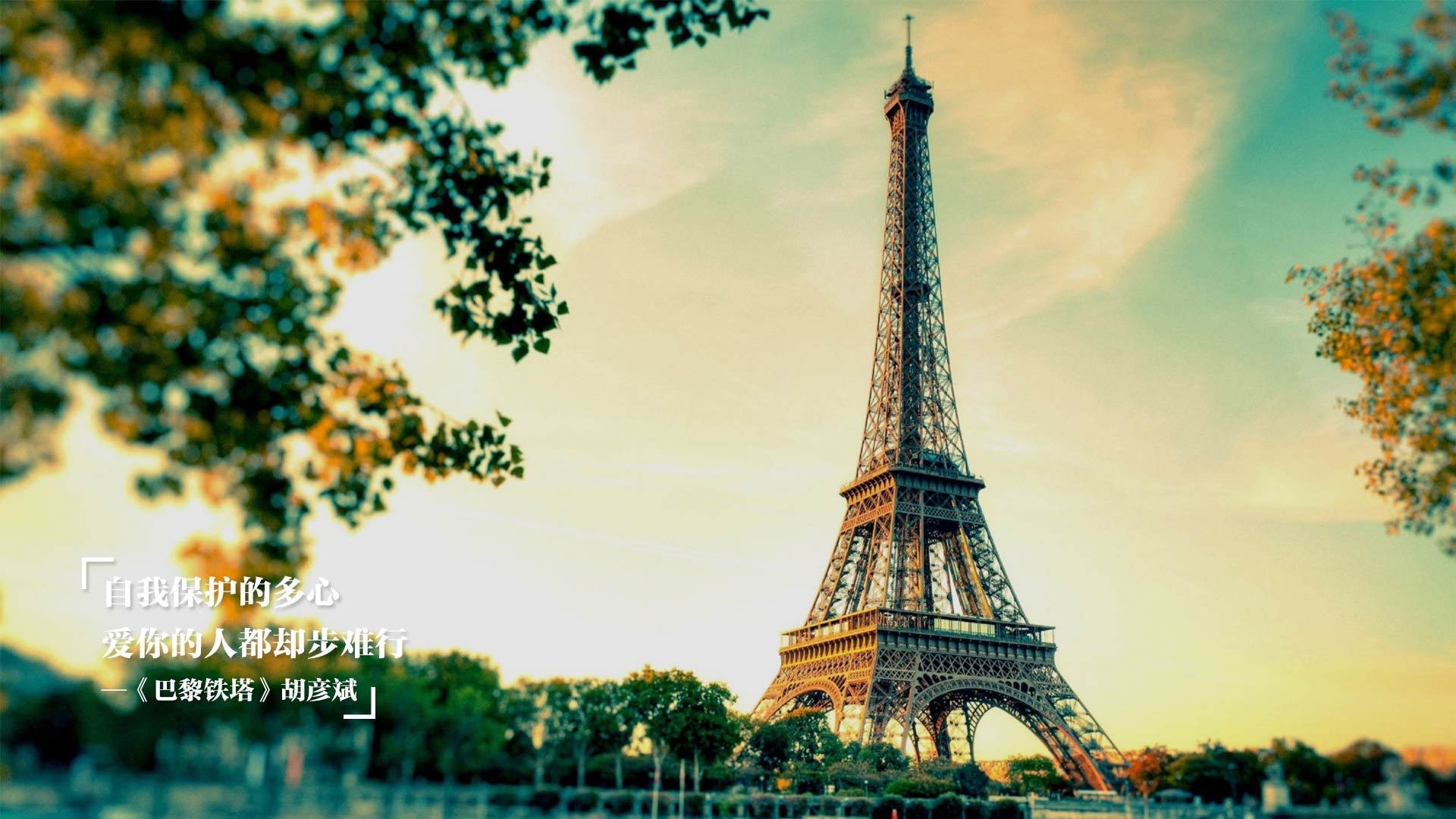 APP下载 LY Sports-观众们期待在足球比赛中看到哪些精彩瞬间？，看足球赛观众们的神态