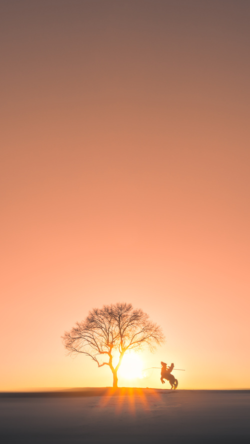 乐鱼电竞在线平台-观众热情迎来世界级足球赛事，世界足球竞赛