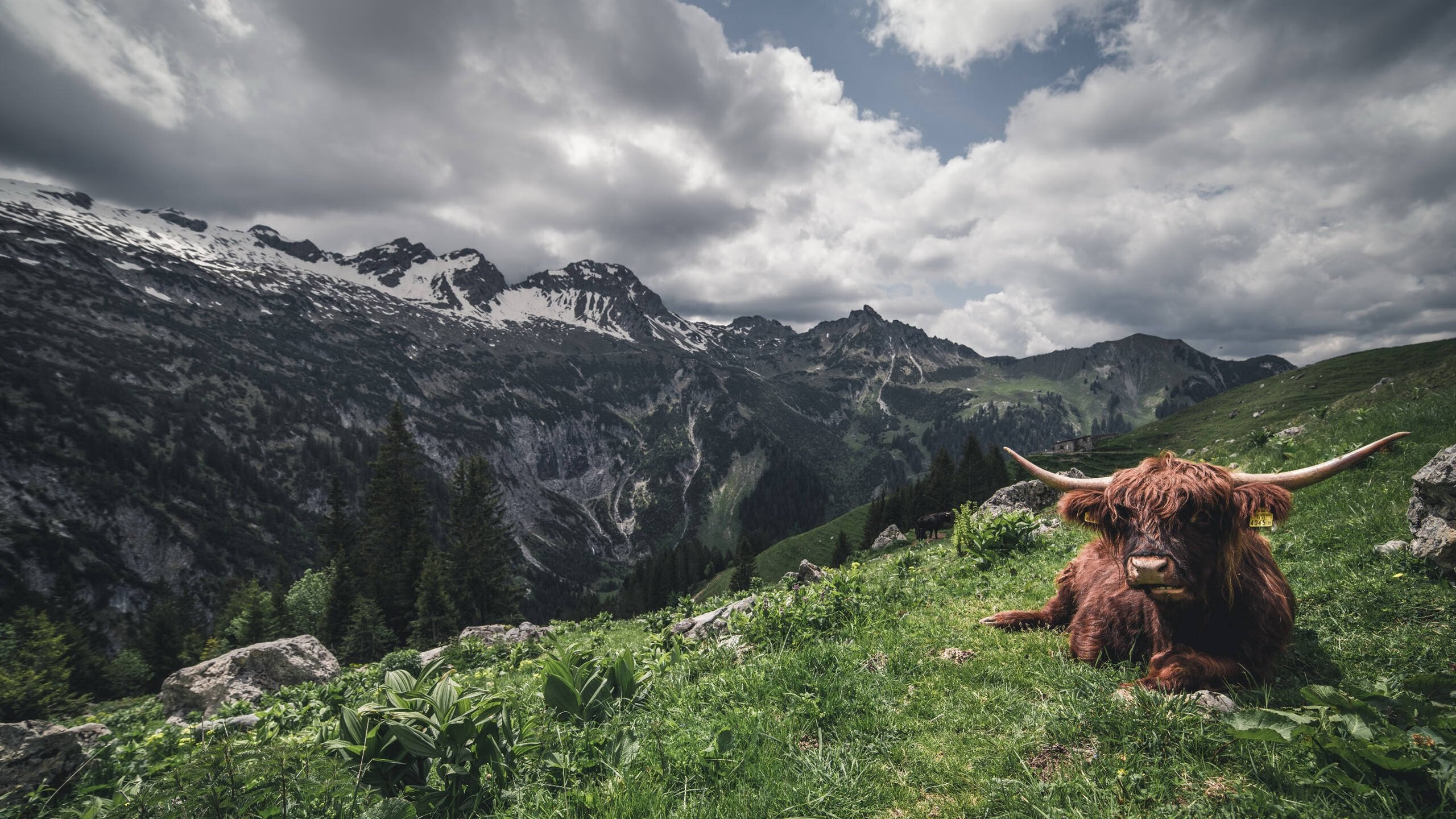 防线连续失球,困扰球队备战思考不已,防守线位