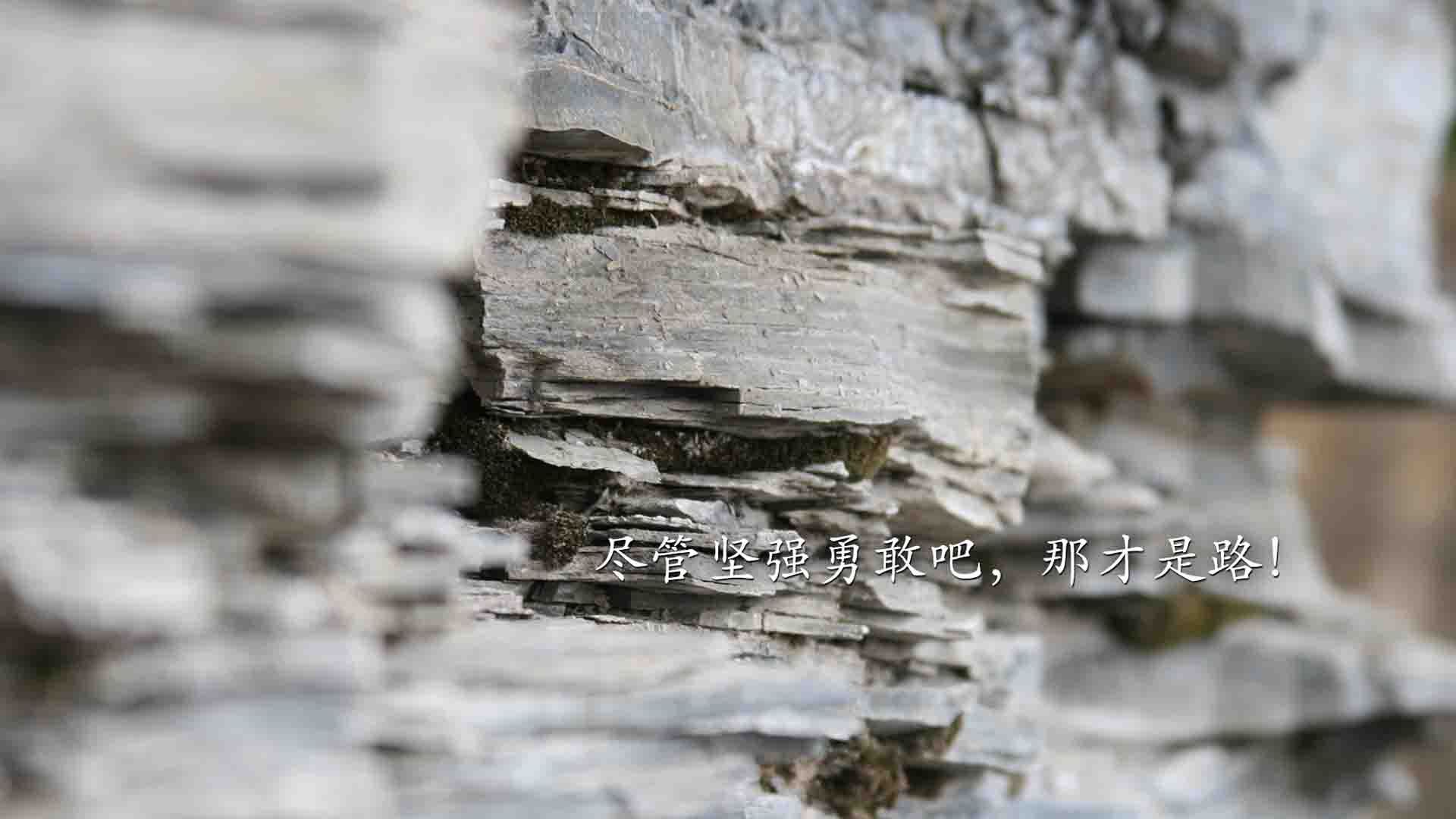 西甲俱乐部粉丝数字画像与商业潜力开发,收获1亿粉丝的西甲联盟好事不断