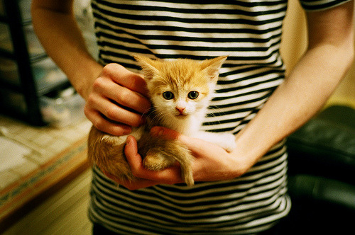 leyu乐鱼在线登录入口-国家攀岩队启用高空训练系统加强心理适应，当今有关攀岩的国家政策