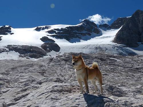 乐鱼官网-青训过程监测与评估体系缺失，青训水平