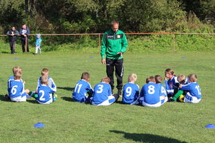 乐鱼vip-美洲杯争夺队：攻守兼备，战术百变，美洲杯的比赛