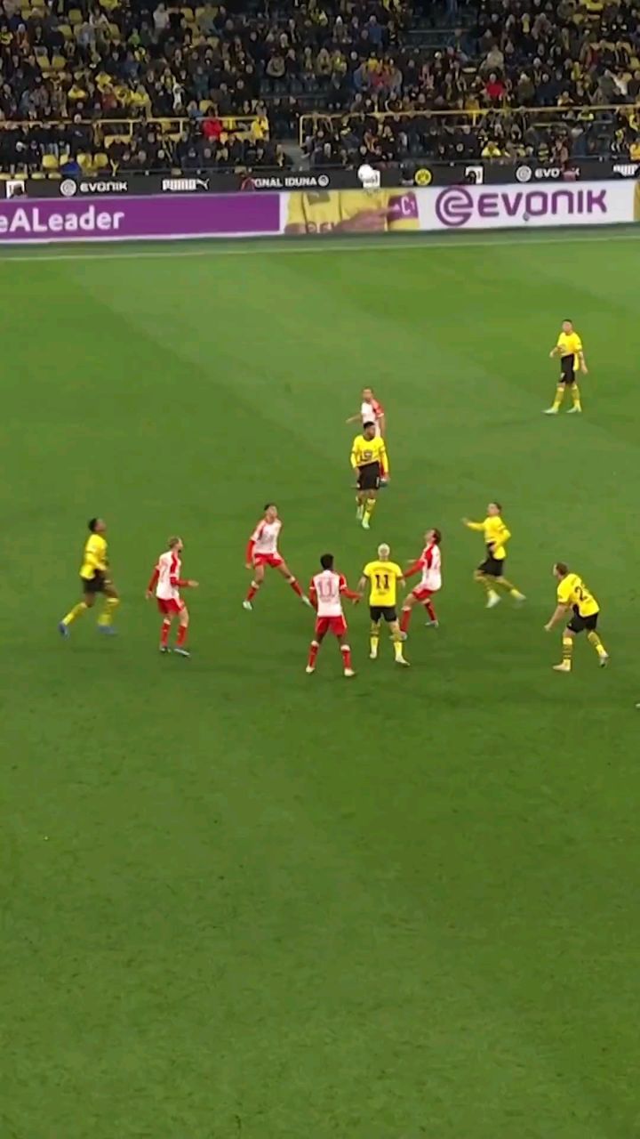 乐鱼体育:中国足球信息化建设:提升管理效率,优化服务水平的简单介绍 乐鱼体育:中国足球信息化建设:提升管理效率,优化服务水平的简单介绍